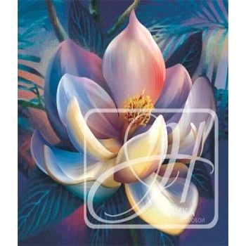 Фотошпалери Магія  140*145