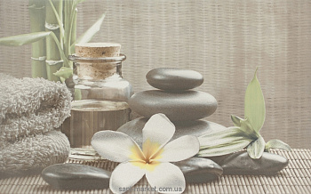 Декор  OLIVIA 250*400