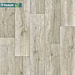 Лінолеум Еволюшн Лайв 1 клас 1/2м