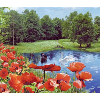 Фотошпалери Літній блюз 201*242