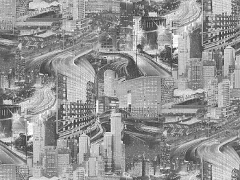 Шпалери 487-10 столиця