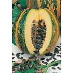 Гарбуз ольга