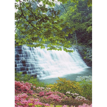 Фотошпалери Водяна Феєрія 140*196