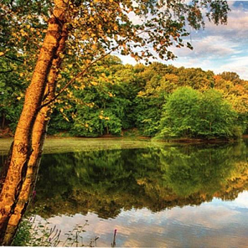 Фотошпалери Озеро 272*196