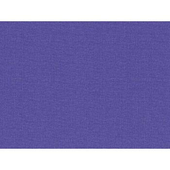 Шпалери 488-07 столиця