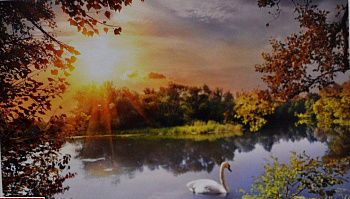 Фотошпалери Озеро з лебедем №35